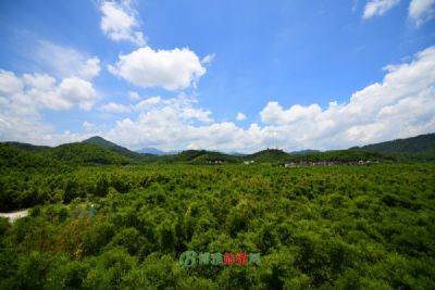 宾阳白鹤观竹海旅游度假区