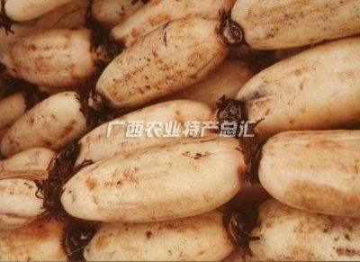 宾阳县美食小吃